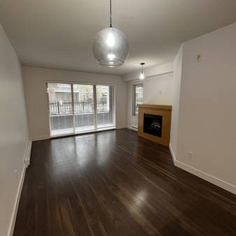 Spacious 1 bedroom 1 bathroom - Walnut Grove/Carvolth - Photo 3