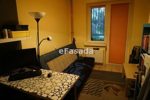 EFS-MW-170 Mieszkanie na wynajem - Zdjęcie 1