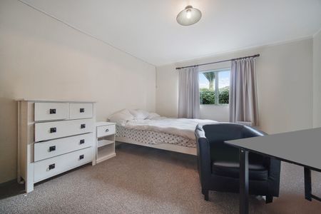 Tucked away in Remuera - Photo 4