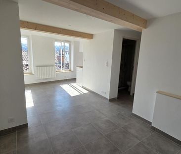 Location Appartement 1 pièce 27m² VIENNE 38200 - Photo 1