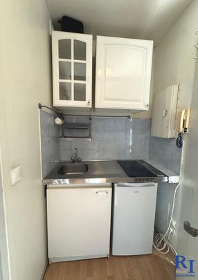 Location Appartement 1 pièce 17m² GRENOBLE 38100 - Photo 1