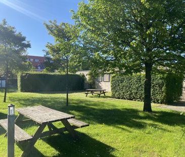 <b>BO I AALBORGS CHARMERENDE VESTBY! </b> - Photo 5