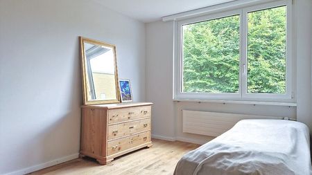 4½ Zimmer-Dachwohnung in Wallisellen (ZH), möbliert, auf Zeit - Photo 5