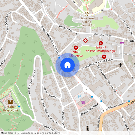 Strada Alexandru Ioan Cuza