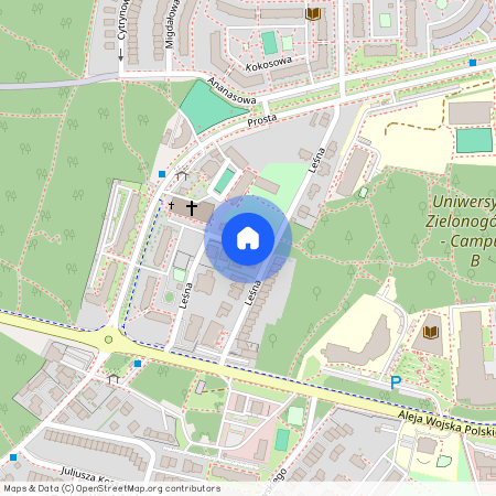 ul. Leśny Dwór, Centrum, Zielona Góra, lubuskie