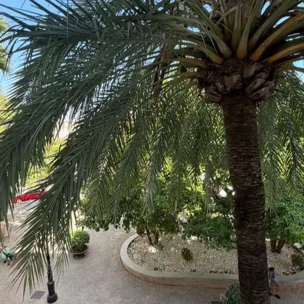 Marbella - Foto 1