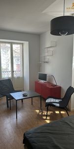 Location Appartement 1 pièce 17m² PRIVAS 07000 - Photo 4