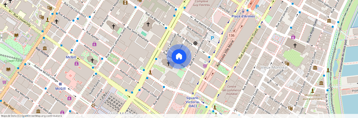 1085 Rue St Alexandre, Montréal (Ville-Marie), QC H2P