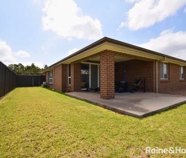 Beauty On Bowerbird - Photo 4