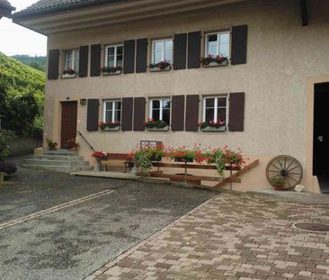 2.5 Zimmer, 96 m², EG - Foto 4