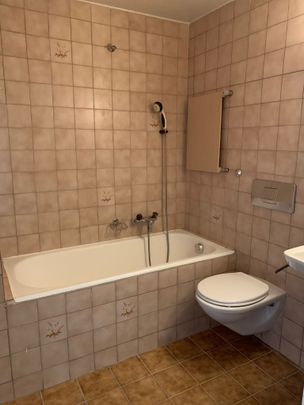 Route des Plaines-du-Loup 46, 1018, Lausanne - Photo 1