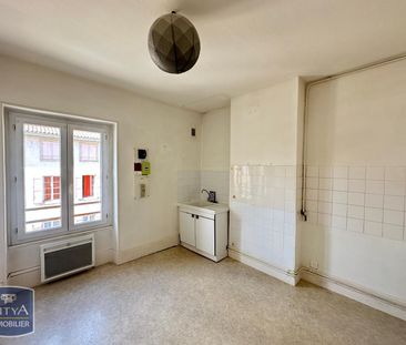 Location Appartement 2 pièces 62m² ST LAURENT SUR SAONE 01750 - Photo 2