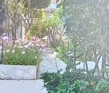 Ενοικίαση κατοικίας, 60 τ.μ., Άρτεμις, 650 € - Photo 3