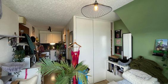 Location Appartement 1 pièce 20m² ST LAMBERT LA POTHERIE 49070 - Photo 3