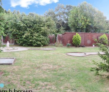 The Street - Photo 2