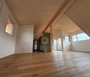 EXCLUSIVE WITH IMPRESSIVE TERRACE AND LAKE VIEW - Photo 4