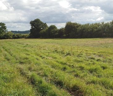 Foldhill Lane, Martock - Photo 1