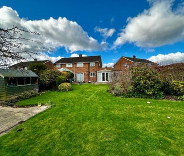 3 bedroom semi-detached house to rent - Photo 6