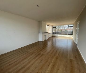 Gerard Doustraat - Photo 2