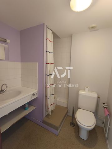 Location Appartement 1 pièce 22m² GRENOBLE 38000 - Photo 5