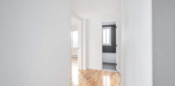 1 CH - 1 SDB - Montréal - $1,399 /mo - Photo 2