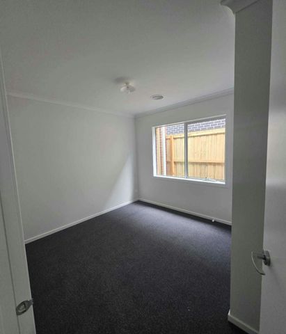 Brand New Family Living in Aintree Perfectly Positioned! - Photo 3