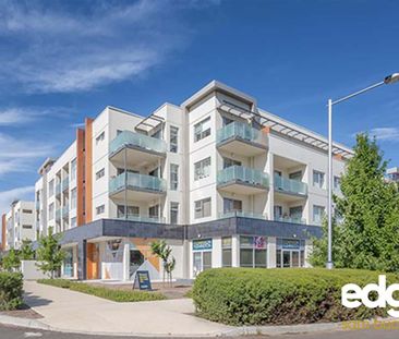 83/227 Flemington Rd, Franklin ACT 2913 - Apartment For Rent | Domain - Photo 3