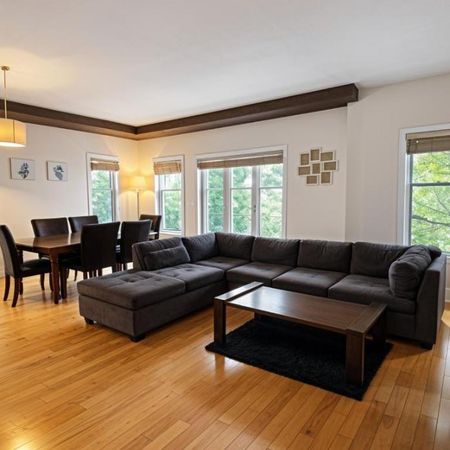 4 1/2 - Montréal (Centre-Sud) - 1 990 $/mois - Photo 4