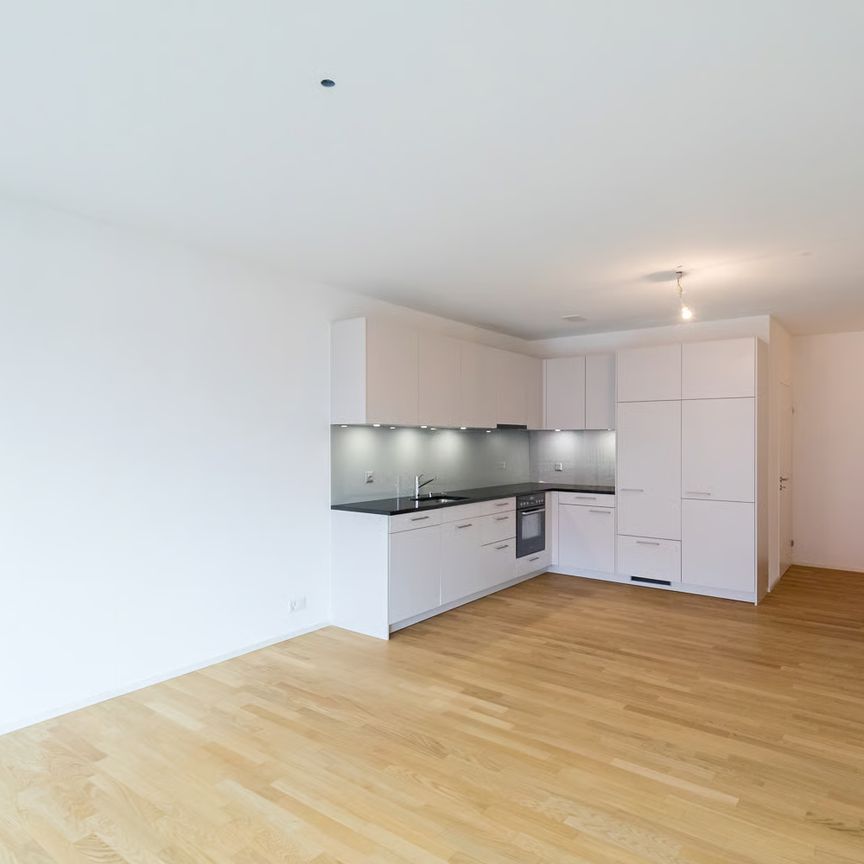 2.5 Zimmer, 55 m², 1. Stock - Foto 1