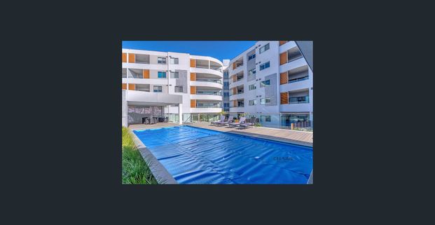 2x2 Apartment in Perfect Location - Photo 1