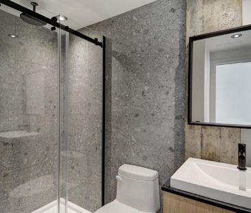 3 ½ entièrement meublé à louer Saint-Jean-Baptiste juillet 2026 - Photo 3