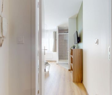 ALBERT 1ER BELGIQUE Colocation 3 chambres à Grenoble - Photo 6
