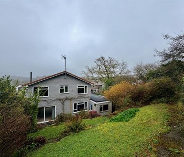 Yealmpton, Plymouth - Photo 6