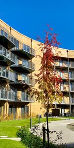 Dejlig terrasse ud til grønt område - Photo 4