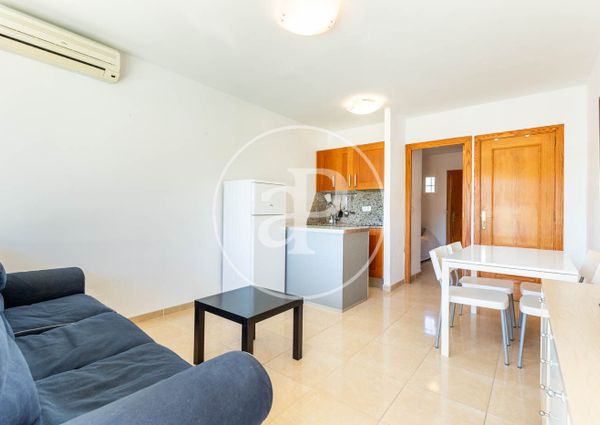 Apartment for rent in Palmanova