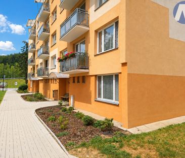 Pronájem bytu 2+kk 43 m² - Fotografie 5