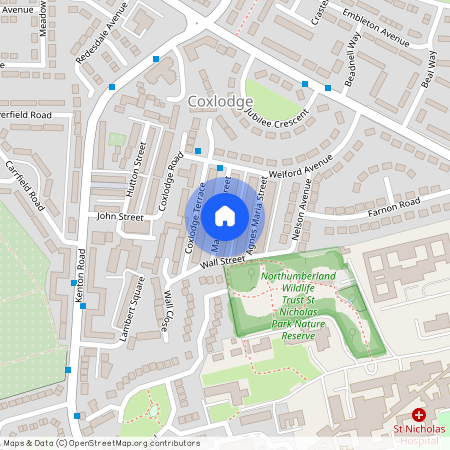 Mary Agnes Street, Coxlodge