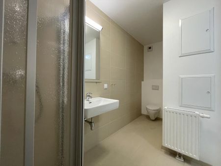 ALL-IN-MIETE!!! Möbliertes Apartment mit Loggia im schönen Sonnwendviertel! - Foto 4