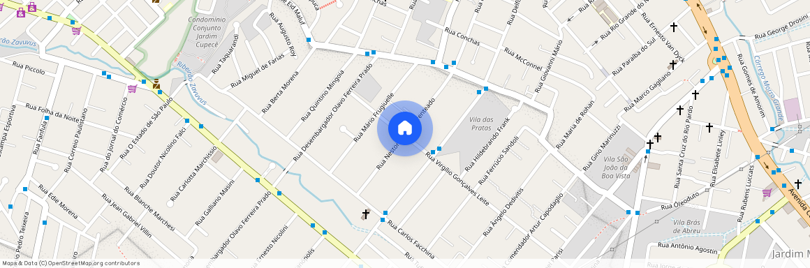 Rua Doutor Nestor Sampaio Penteado, Americanópolis, São Paulo, SP, 04409060