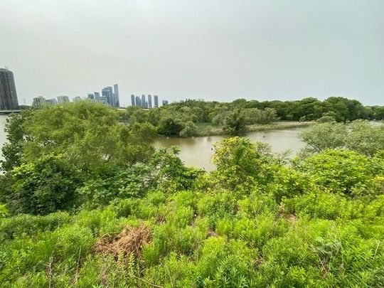 For Lease - 163 Riverside Drive Unit# 2, Toronto, Ontario - Photo 1