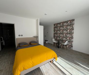 Location Appartement 1 pièce 30m² CARMAUX 81400 - Photo 3