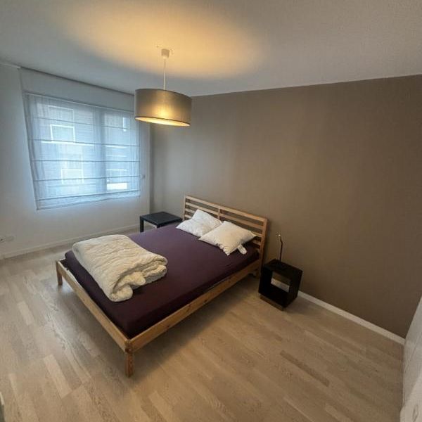 Location Appartement 3 pièces Meublé 81m² ANNEMASSE 74100 - Photo 1