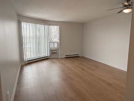 For Lease - 1320 Richmond Road Unit# 320, Britannia - Lincoln Heights and Area, Ontario - Photo 2