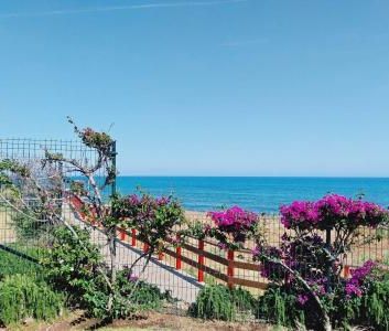 MI CAPRICHO - Apartment of rent, winter season. FIRST LINE BEACH SE... - Photo 6