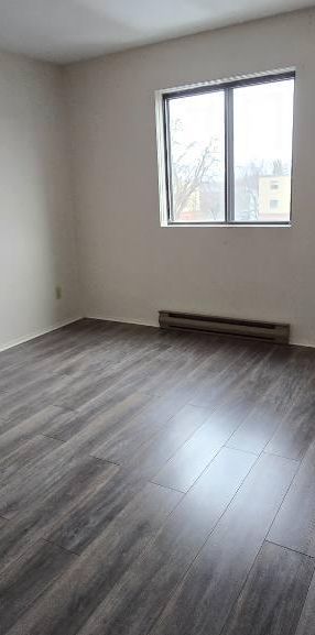 Logement de 4 1/2 à louer - Photo 1