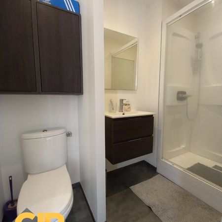 Location Appartement 1 pièce 20m² RENNES 35000 - Photo 3