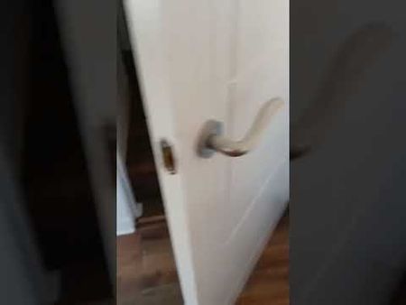 2 Bed Flat, Griffin Road, EH4 - Photo 5