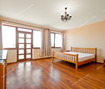 Vila D+P+2 cu 5 camere, garaj si curte de inchiriat in Galati - Fotografie 3