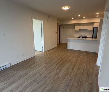 203-220, Bd Saint-Joseph, Lachine à louer - Photo 6