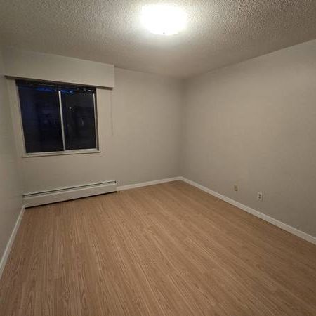 1 Bedroom Suite Marpole South Granville Montcalm St - Photo 1